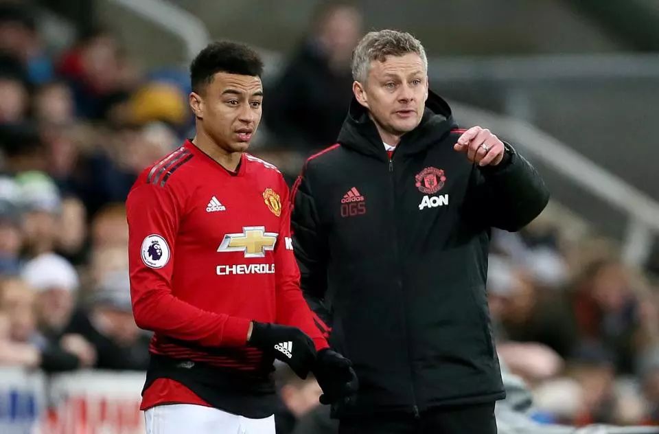 尔梅迪的挑 尔梅迪的挑